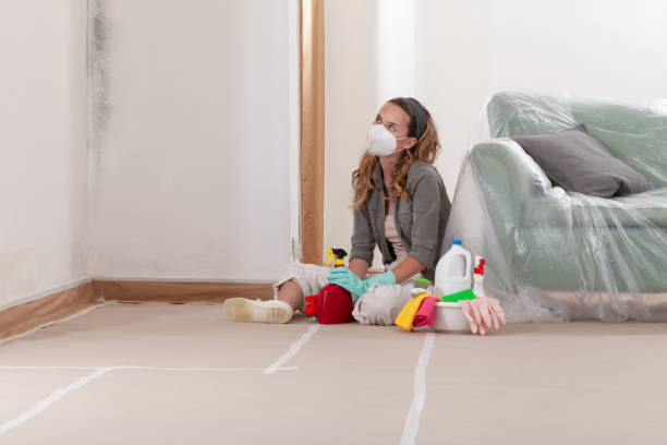 Reliable Mold Removal contractor in Celina, TX by WQB Mold Removal